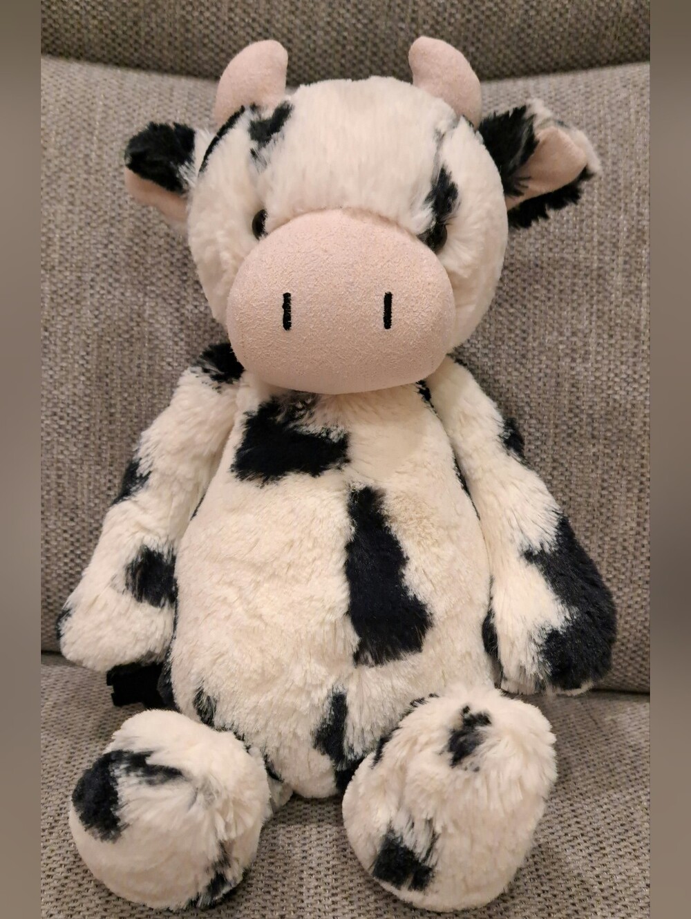 Retired Jellycat Bashful Calf Cow Black And White With Horns